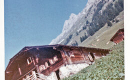 006 - s heimetli für 15 wuche